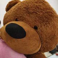 خرس 1.6 متری|اسباب‌‌بازی|کیش, |دیوار