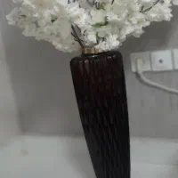 گل و گلدان کنارسالنی