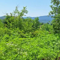 راهنمایی شغل و سرمایه گذاری