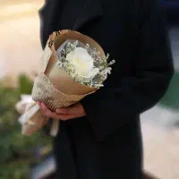 باکس گل طبیعی نازلترین قیمت|گل و گیاه طبیعی|آباده, |دیوار