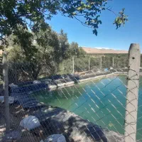 تولیدی فنس هادی(طارم)|عمدهفروشی|چورزق, |دیوار