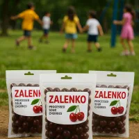 آلوچه لواشک ترشک بدون واسطه از کارخانه|حراج|ری, شهرک نظامی|دیوار