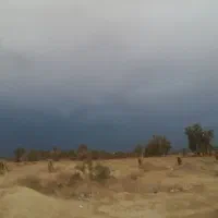 زمین