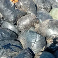 به تعدادی نیرو جهت تفکیک نایلون نیازمندیم