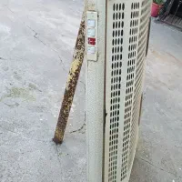 هود کتابی سالم