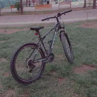 دوچرخه ۲۶ ویوا|دوچرخه، اسکیت، اسکوتر|قدس, شهر‌قدس|دیوار