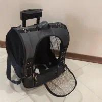 کیف