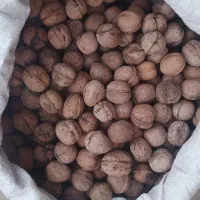 گردو|خوردنی و آشامیدنی|میاندوآب, |دیوار