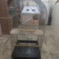 لانه،قفس،پایه قفس