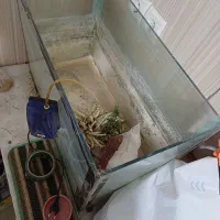 آکواریوم و بوفه