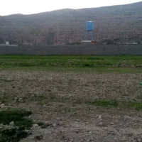 فروش زمین ۱۰۰۰ متری مشاع ((فقط جهت معاوضه))|فروش زمین و ملک کلنگی|شیراز, گلدشت معالی‌آباد|دیوار