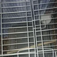 قفس پرنده کاسکو وعروس هلندی یا پرنده دیگر