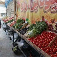 اجاره-جا-برای-سبزی