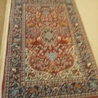 حراج تعدادی پا داری