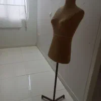 مانکن سوزن خور