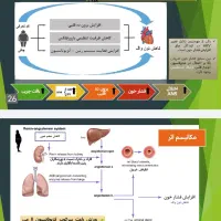 تایپ، ترجمه، پاور پوینت|خدمات رایانه‌ای و موبایل|نجف‌آباد, امام خمینی|دیوار