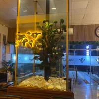 استخدام ادمین موبایگراف در مجموعه خاورمیانه -فوری|استخدام بازاریابی و فروش|آمل, |دیوار