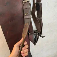 هیکلی شیر غلاب