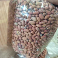 بادام زمینی و کره بادام زمینی امسالی تازه تازه