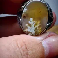 زمینه لیمویی انگشتر شجر|جواهرات|اصفهان, کشاورزی|دیوار