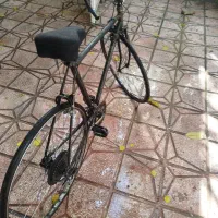 دوچرخه|دوچرخه، اسکیت، اسکوتر|همدان, |دیوار