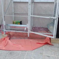قفس مرغ و خروس و کبوتر و ....