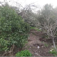 باغ سقدر 35 کیلومتر بعد از جیرفت به سمت مسکون|فروش خانه و ویلا|کهنوج, |دیوار