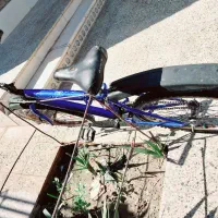 دوچرخه ۲۶|دوچرخه، اسکیت، اسکوتر|ایرانشهر, |دیوار