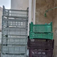 جعبه پلاستیکی انگور