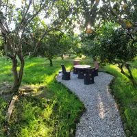 ویلا باغ جنگلی ۵۰۰۰ متر/دربست/نزدیک بام  و دریا|اجارهٔ کوتاه‌مدت ویلا و باغ|نشتارود, |دیوار