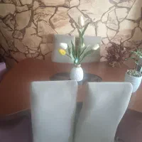 میز ناهارخوری ۶ نفره|میز و صندلی غذاخوری|فردیس, نسترن غربی|دیوار