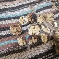 گردو تویسرکان|خوردنی و آشامیدنی|کرج, آق تپه|دیوار