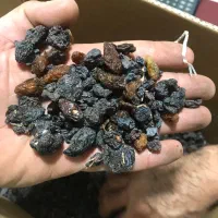 کشمش و مویز فروش و پخش عمده