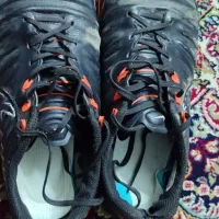 کفش نایک تمپو ایکس|کیف، کفش، کمربند|مشهد, صداقیه|دیوار