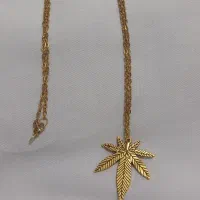 انواع بدلیجات