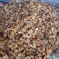 گردوی پرچرب ایرانی