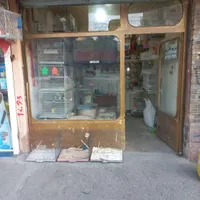 پرنده سرای بیزیم قناری در سیلاب قوشخانه
