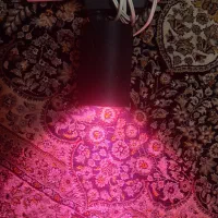 لامپ رشد گیاهان
