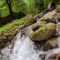 فروش زمین زراعی شهر صایین قلعه به مساحت ۳ هکتار
