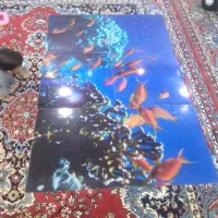 تصویر پلاستیکی ماهی