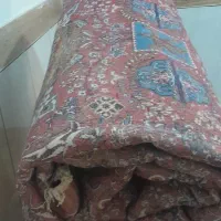 قالی درب ورادیلتور ماشین|فرش|نورآباد, |دیوار