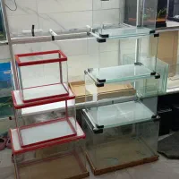 انواع ماهی و آکواریوم گیاه آپارتمانی وآبزی|ماهی|خواف, |دیوار