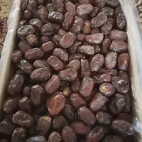 فروش خرما کلوته درجه یک