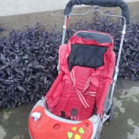 فروش لوازم سیسمونی|کالسکه و لوازم جانبی|شلمان, |دیوار