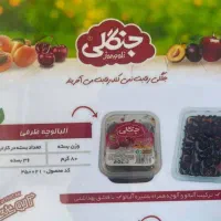 ویزیتور حضوری|استخدام بازاریابی و فروش|گنبد کاووس, |دیوار