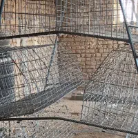 قفس مرغ منبری|لوازم جانبی حیوانات|تاکستان, |دیوار