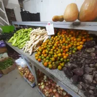 باره میوه وتره بار|خوردنی و آشامیدنی|تهران, حشمتیه|دیوار