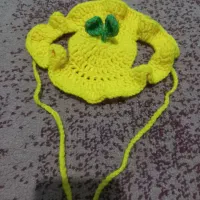 کلاه و الیزابت سگ