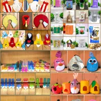 کاسکوشاه طوطی ملنگو راهب گرینچیک عروس هلندی قناری|پرنده|مشهد, هفت تیر (آب و برق)|دیوار