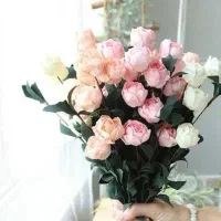 کفتر|پرنده|سرخس, |دیوار